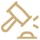 Icon7